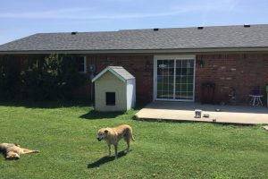 Residential Portfolio